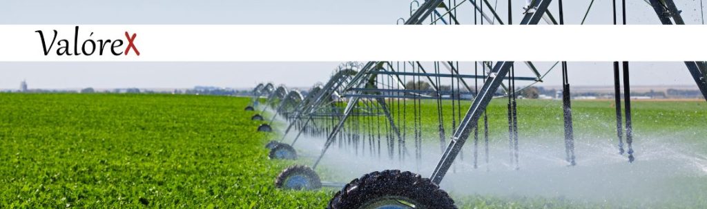 Acciones que realizamos como perito agrónomo